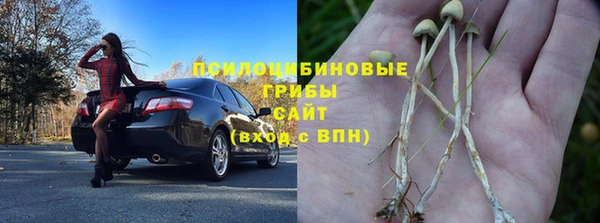 трава Алзамай