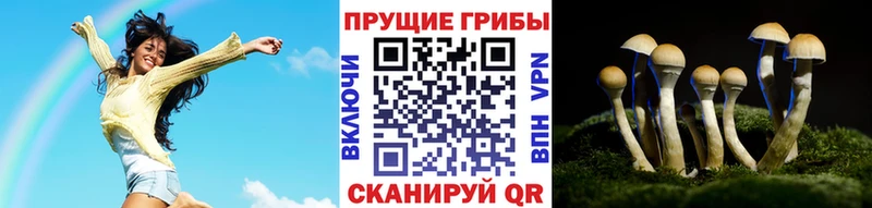 Псилоцибиновые грибы мухоморы  купить наркоту  Топки 